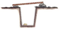 insect pitfall trap image from book