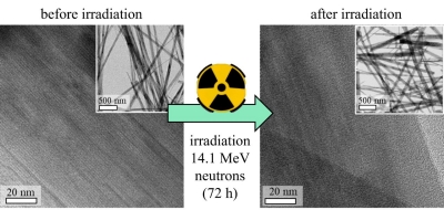 Disordered Microporous Sandia Octahedral Molecular Sieves are Tolerant to Neutron Radiation