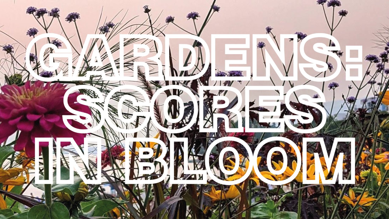 Gardens: Scores in Bloom