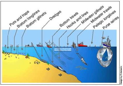 types of fishing gear