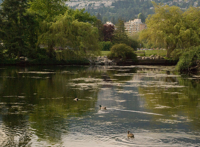 Ambleside Route