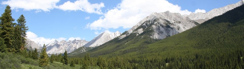 View from the inkpots, Banff national park