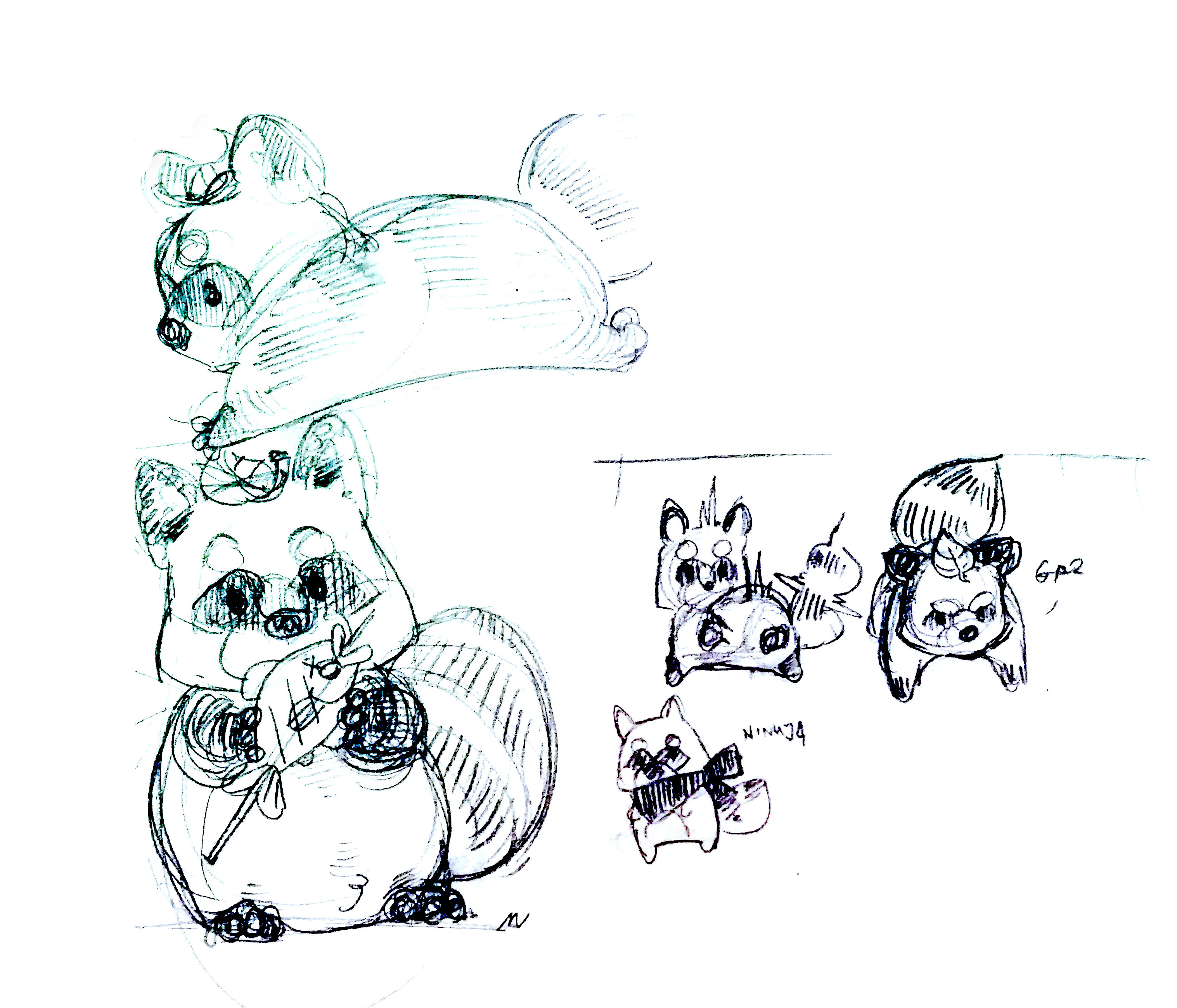 Raccoon concept art