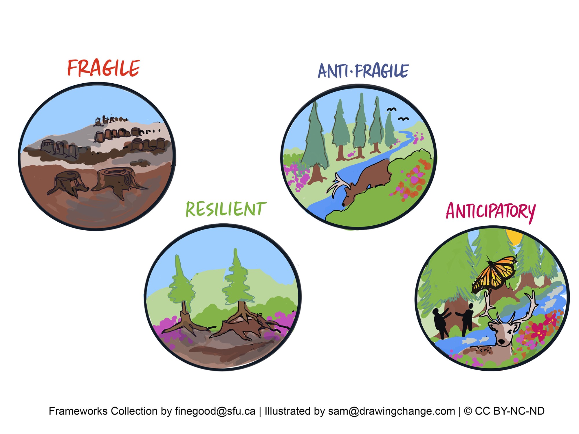 The image features four circular illustrations, each labeled with a different quality of system states: FRAGILE, RESILIENT, ANTIFRAGILE, and ANTICIPATORY.  1. FRAGILE: Depicts a barren landscape with cracked ground and dead trees, alongside ruins, indicating a system that has broken down or failed to withstand stress.  2. RESILIENT: Shows a forest with a couple of trees uprooted, but the rest of the forest remains intact, representing the ability to recover from disturbances.  3. ANTIFRAGILE: Illustrates a thriving forest with a deer leaping by a river, symbolizing a system that improves or grows stronger when faced with challenges.  4. ANTICIPATORY: Displays a scene with a butterfly, deer, and two people, with a forest in the background, suggesting a system that anticipates and prepares for future challenges.  Each circle is drawn in a colorful, illustrative style. This visual metaphor emphasizes different responses to adversity, ranging from failure to proactive adaptation. The Frameworks Collection by finegood@sfu.ca created this, and it's illustrated by sam@drawingchange.com, with a Creative Commons license (CC BY-NC-ND). The illustrations serve to convey complex concepts through accessible imagery.
