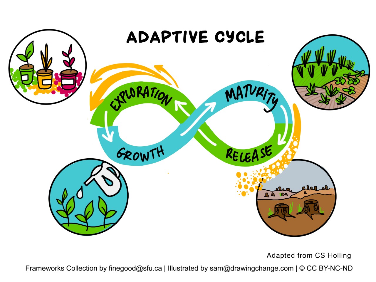 Adaptive Cycle