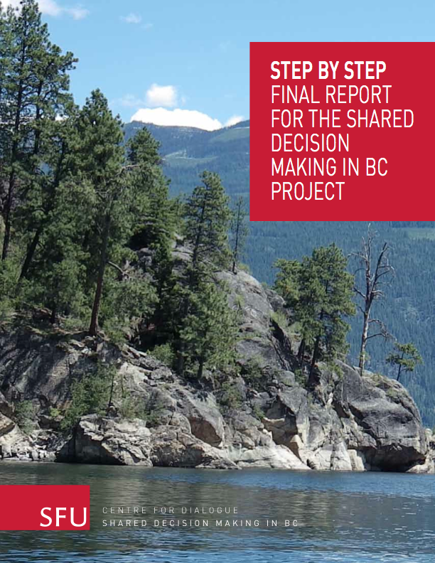 Cover of the Step by Step final report