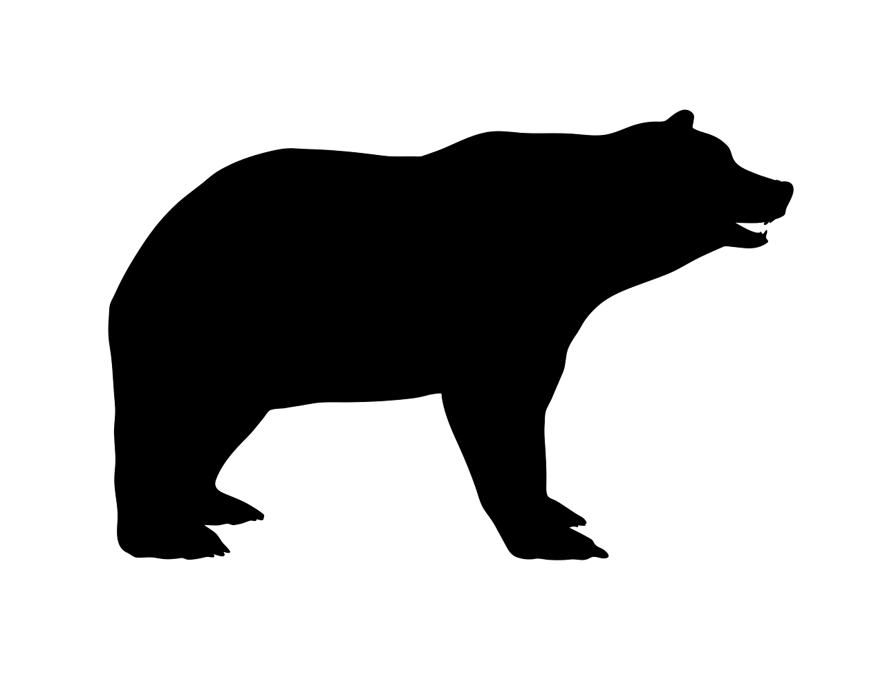 thumbnail_bear-2669729_1280.png