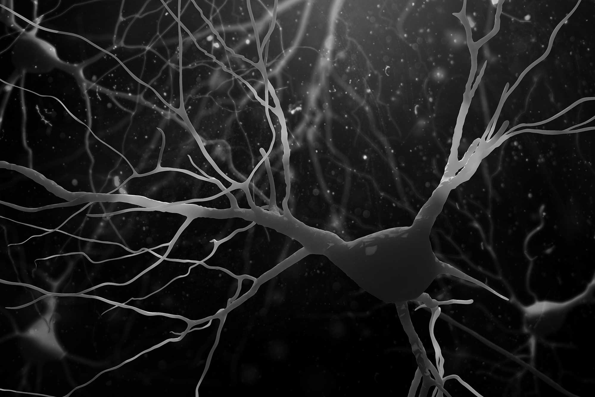 3D Illustration of human nerve cells structure.