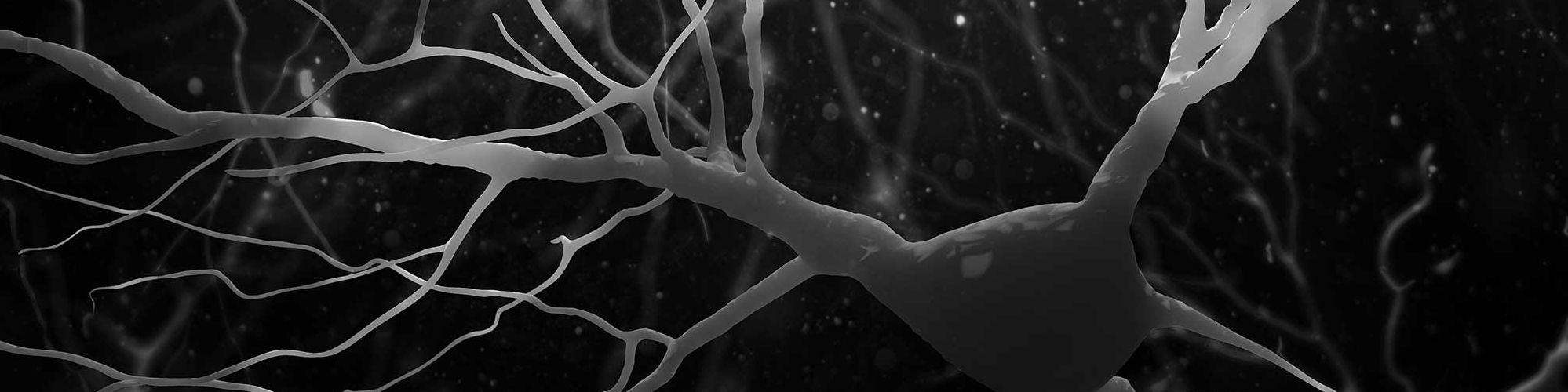 3D Illustration of human nerve cells structure.