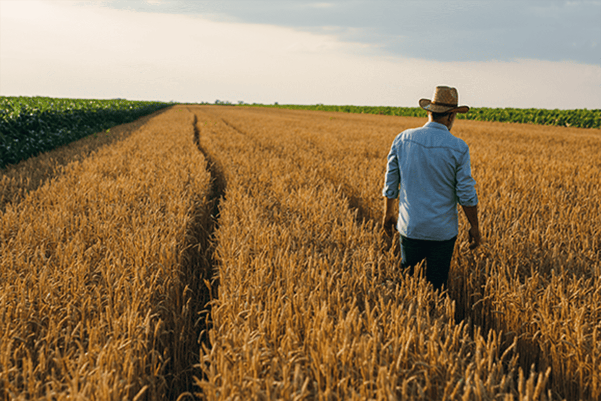 SFU researchers help develop world’s first autonomous agriculture planning software