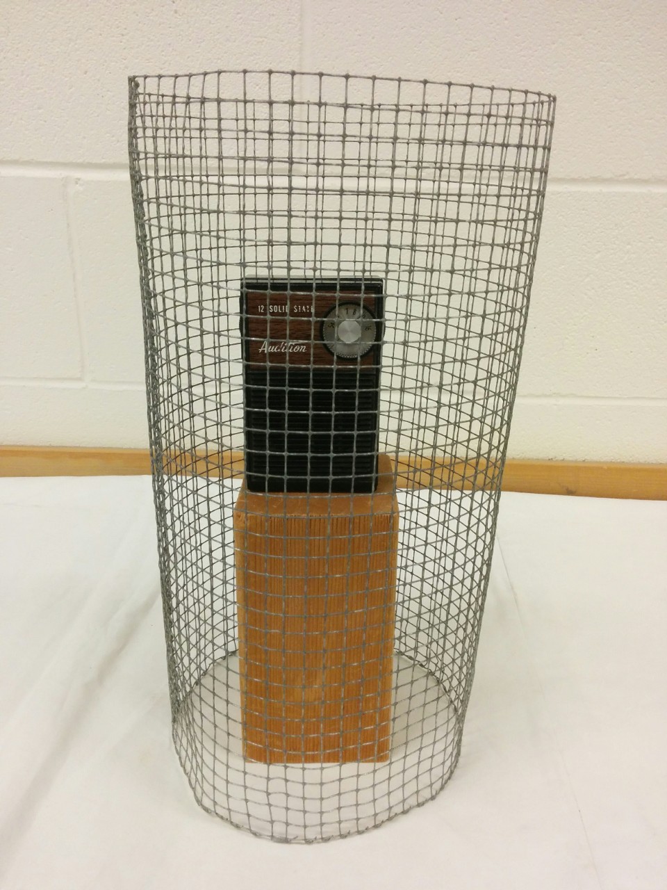 Faraday cage used in the experiments.