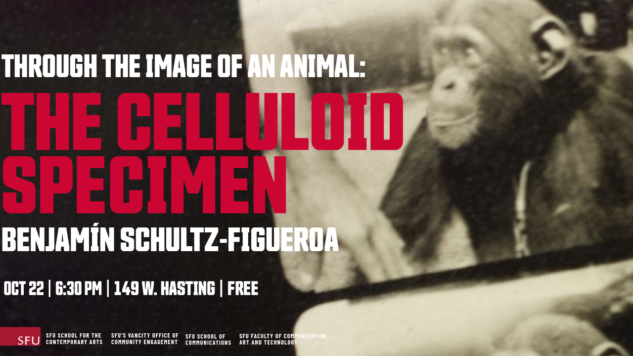 Through the Image of an Animal: The Celluloid Specimen