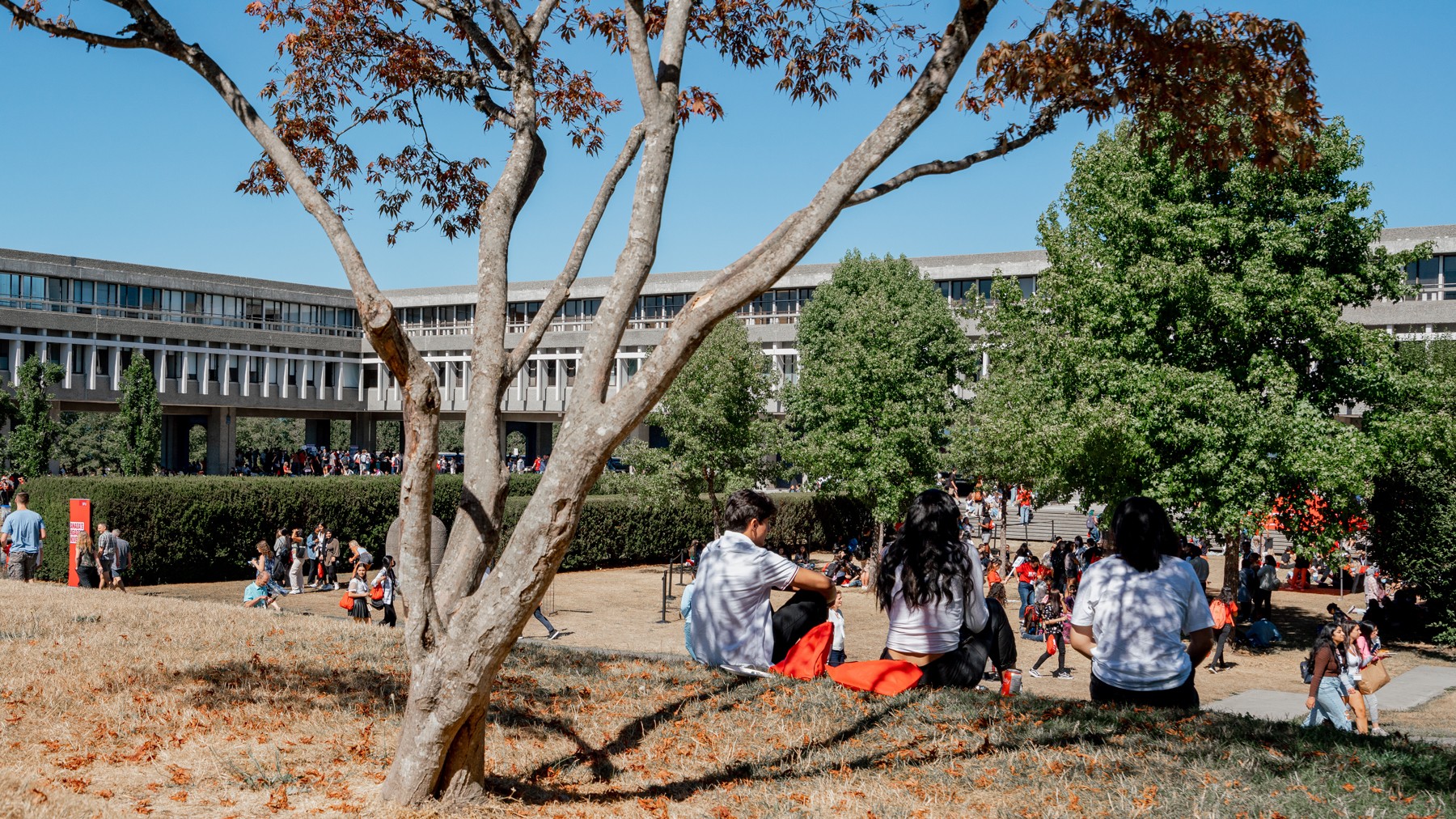 Undergraduate Admission - Simon Fraser University