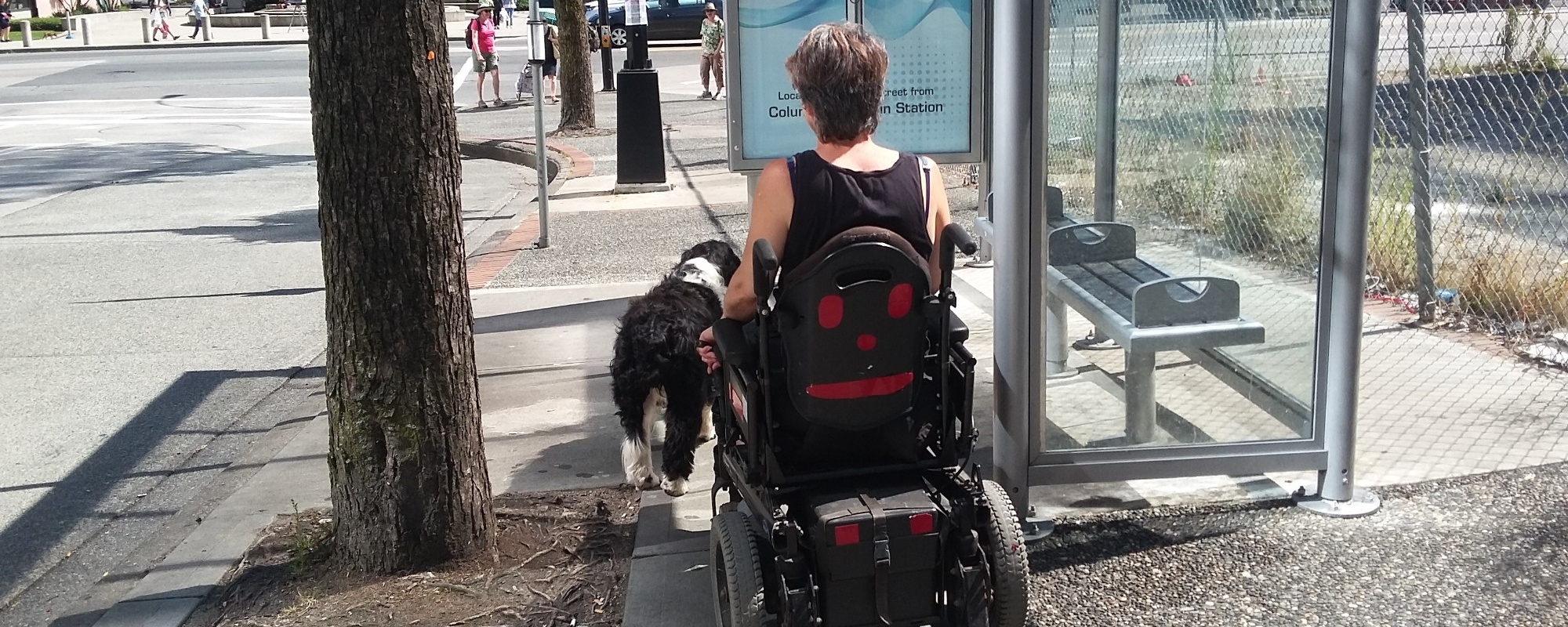 A participant in a wheelchair wheeling with their dog on a narrow sidewalk with a tree and bus stop on both sides of the sidewalk. 