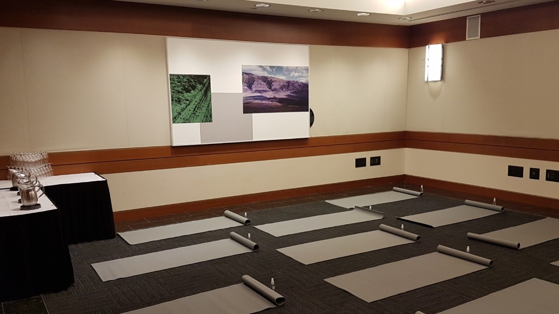 Yoga mats set up in a room for a yoga class as part of February 2020 Wellness Day