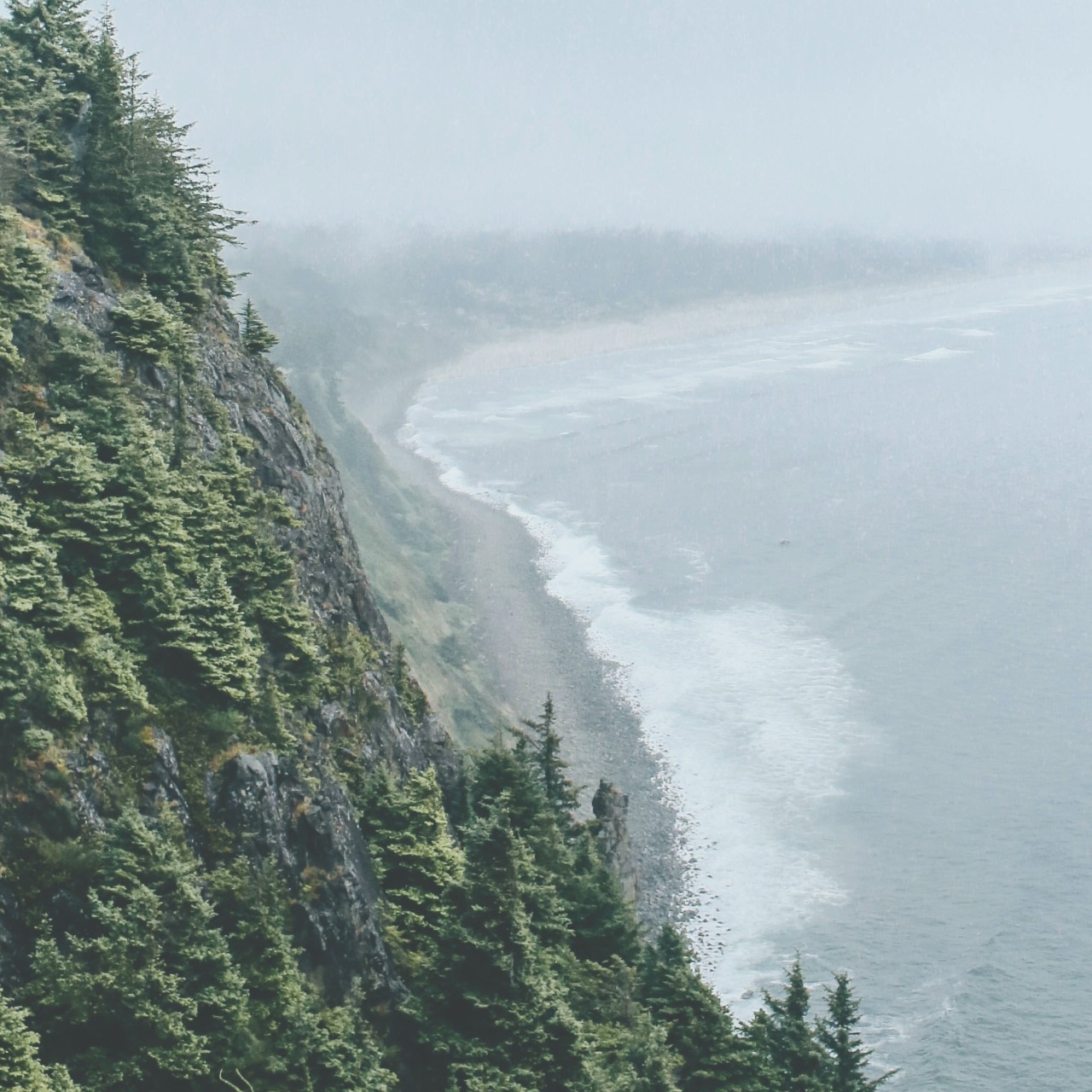 Waves crashing against a shoreline on a misty day with trees in the foreground
