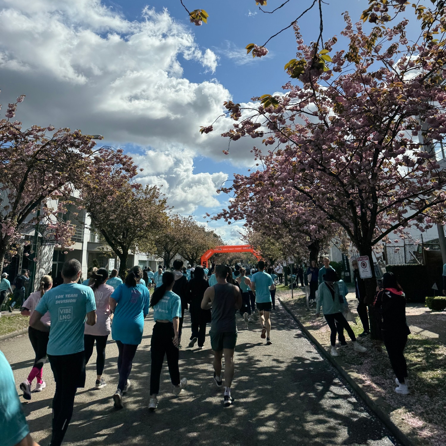 Participants running under pink cherry blossom trees