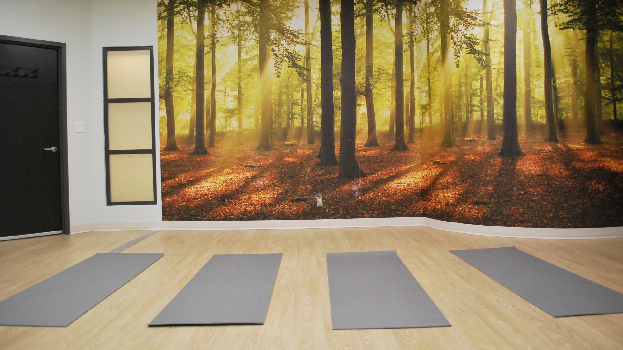 Four yoga mats set up on the floor in front of a wall with a large mural of trees in the SFU Vancouver Wellness Studio