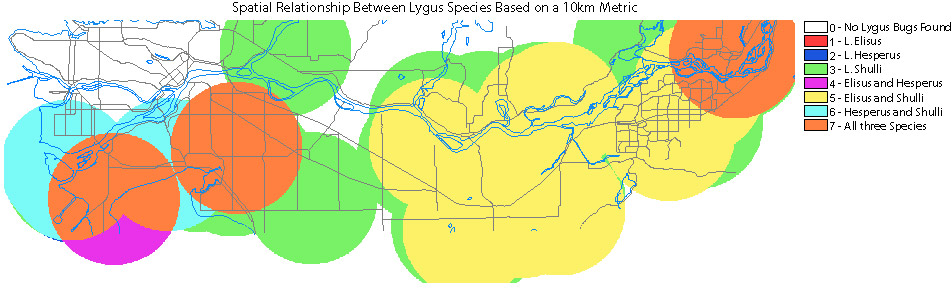 Lygus 10Km Metric