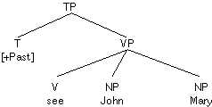 Internal Subject Hypothesis