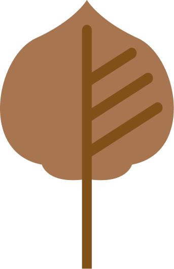 A brown leaf