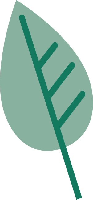 A green leaf