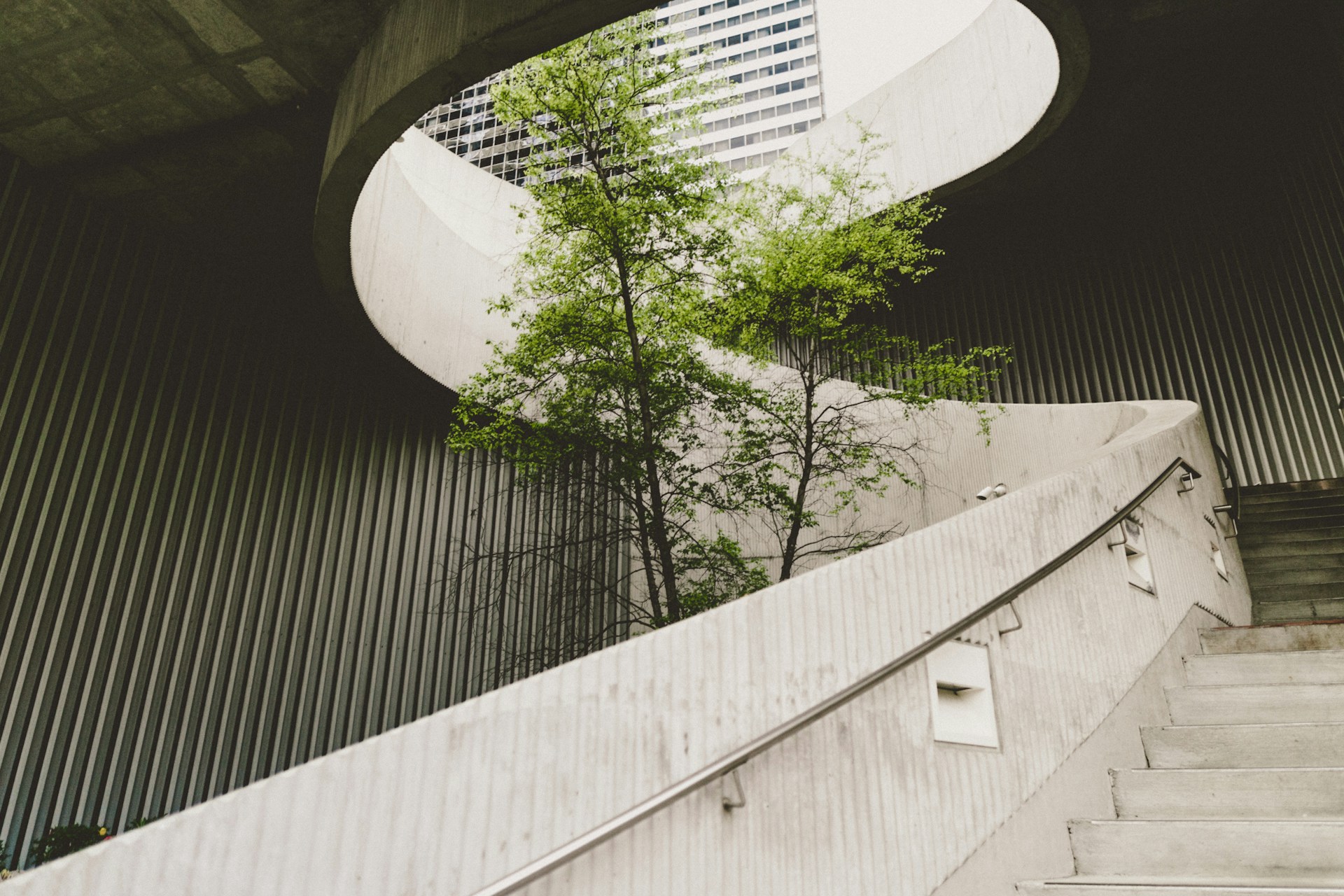 a tree in the middle of urban concrete architecture