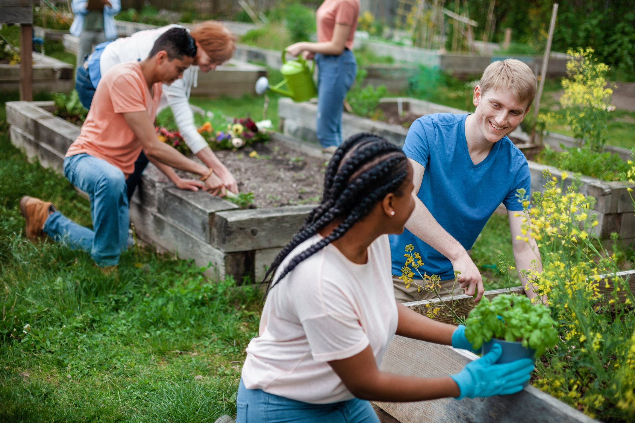 A group of volunteers working in a garden.