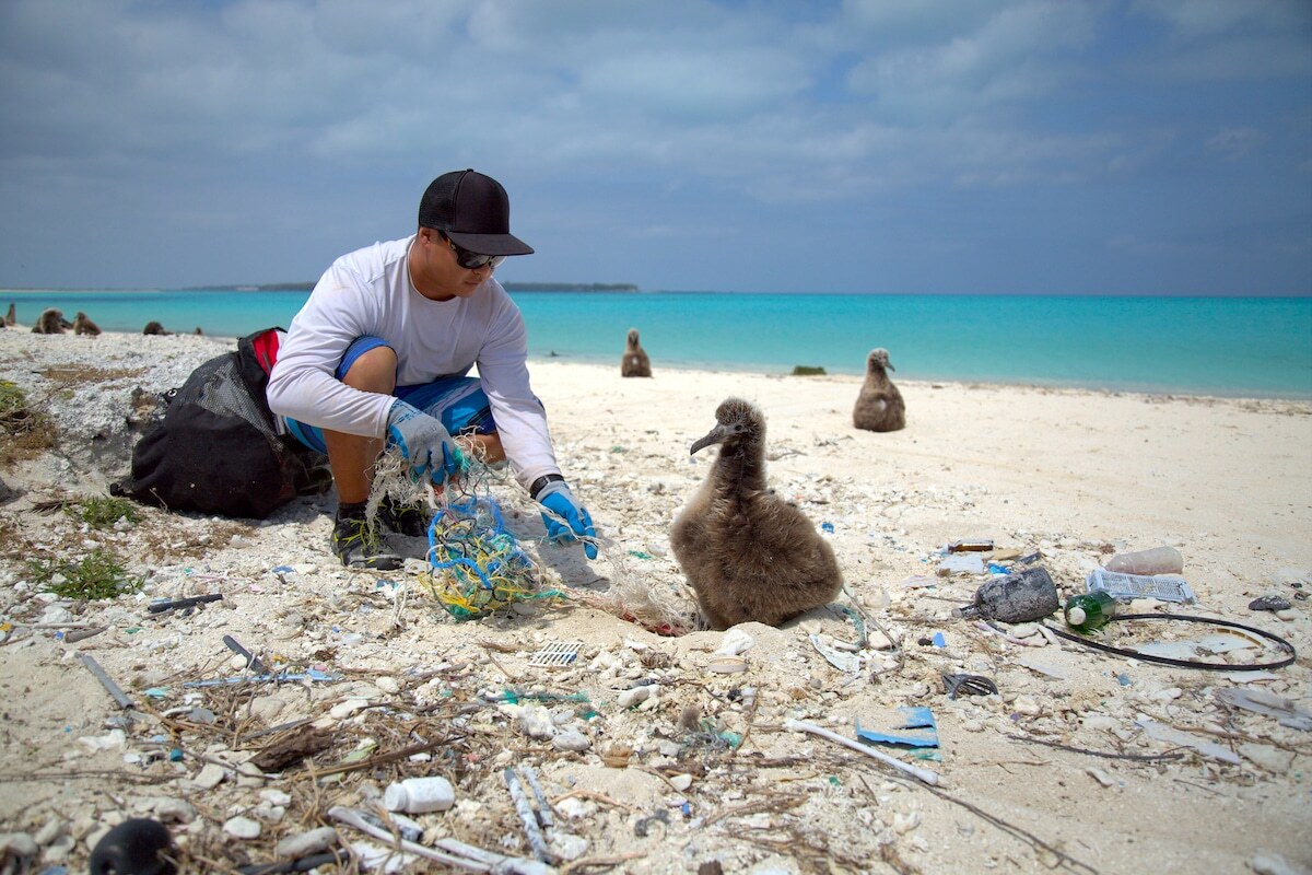 A person cleaning up plastic debris on a beach.