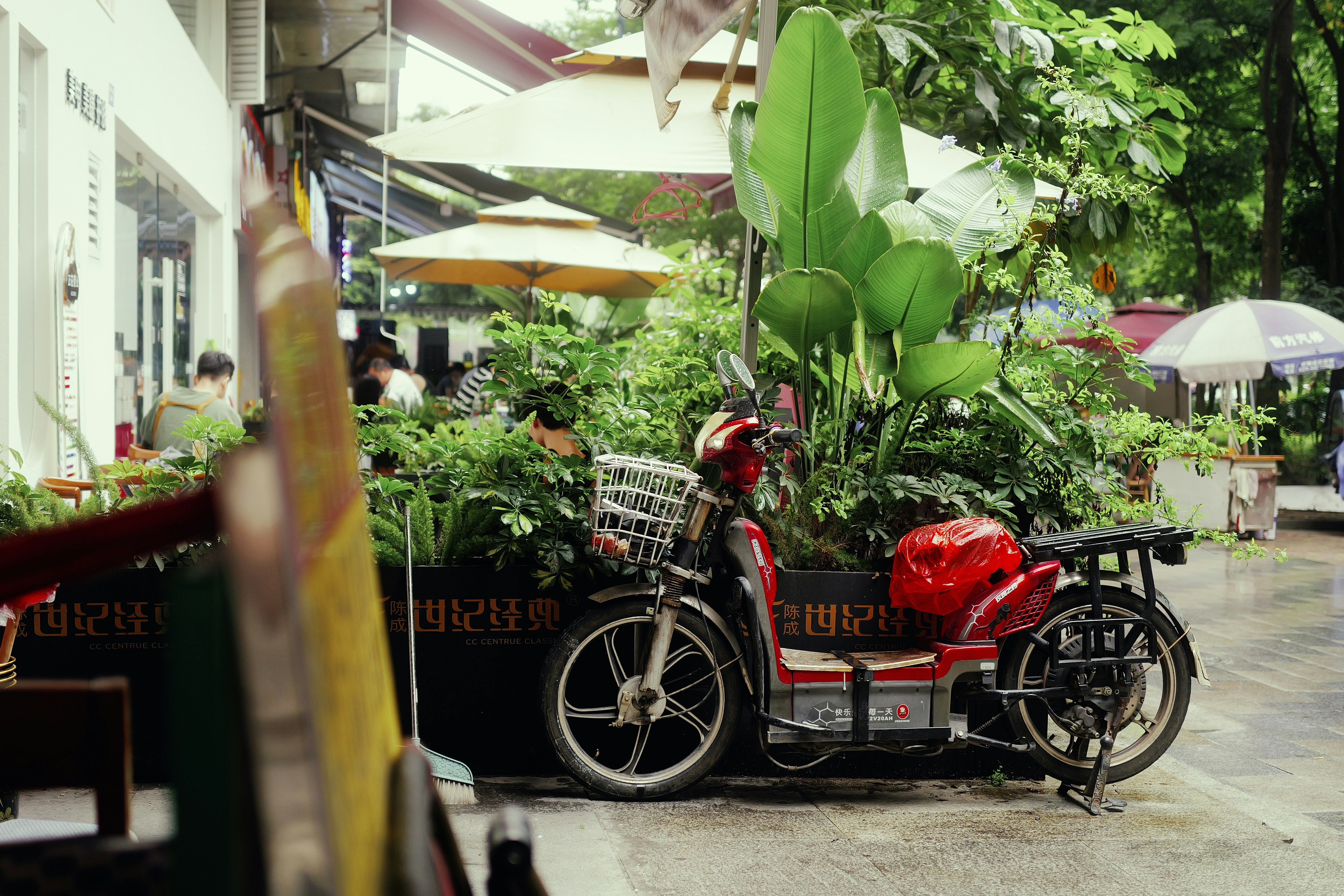 A motorocycle parked beside a large planter full of leafy plants.