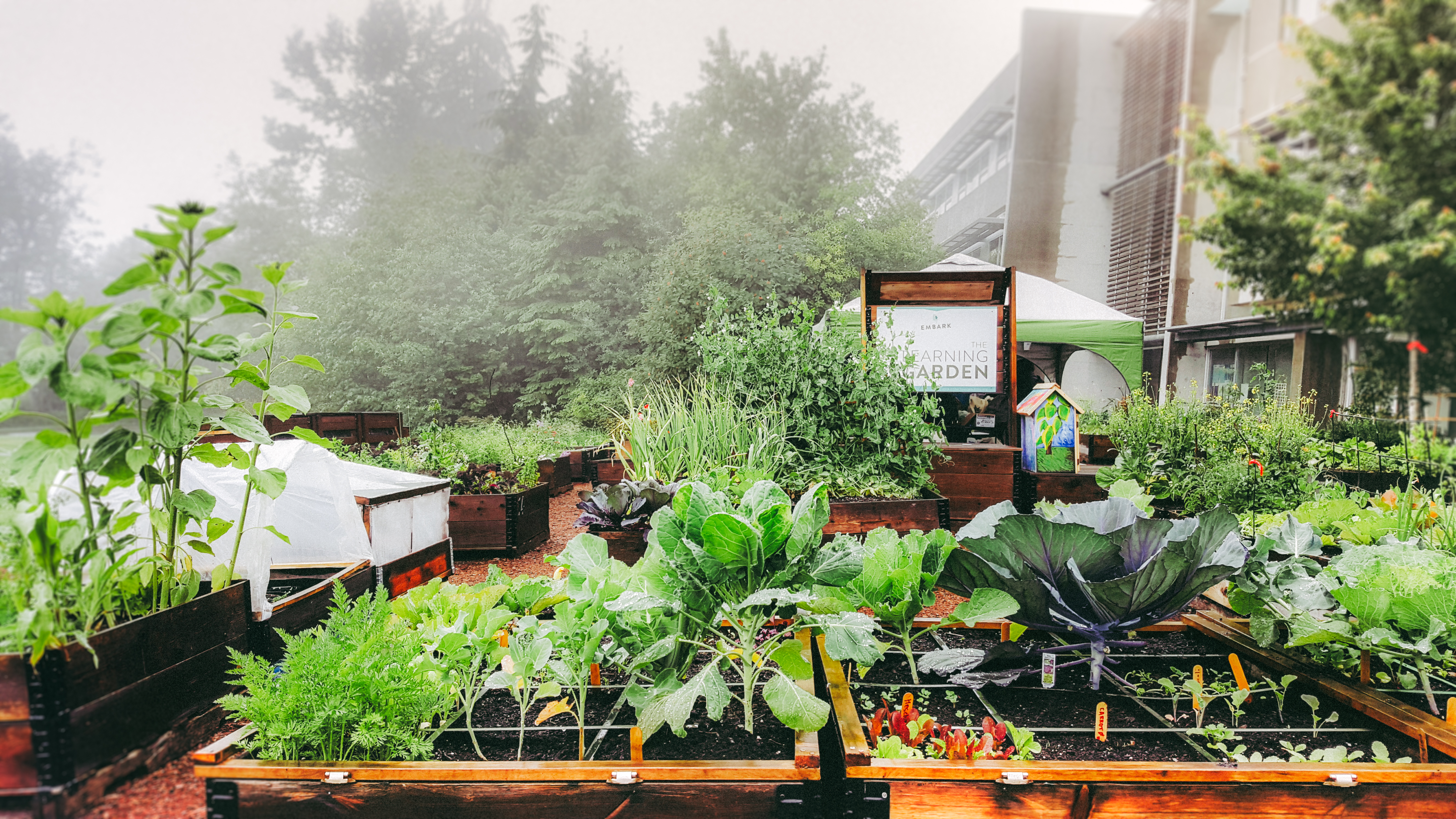 A photo of plants