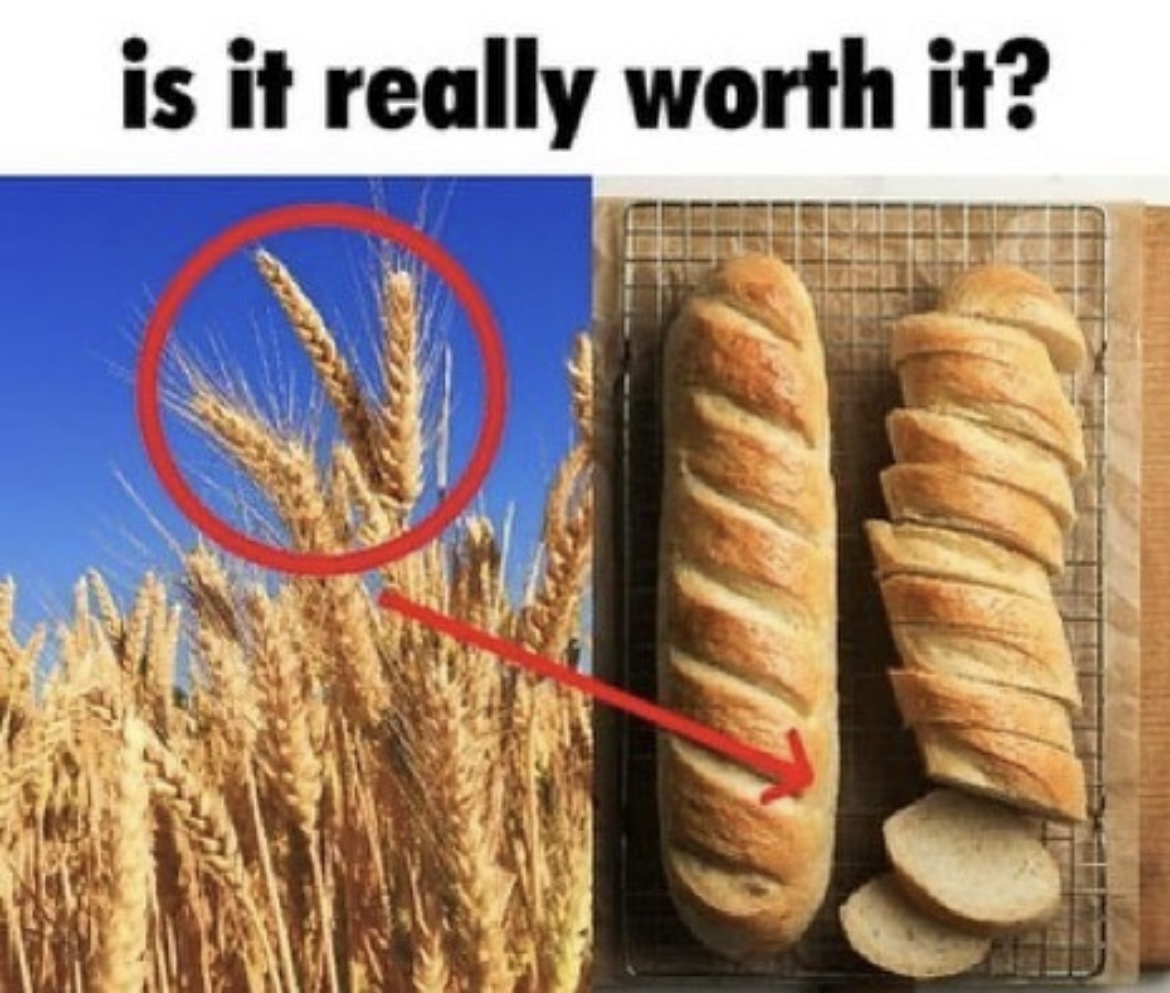 Meme circling the wheat and pointing it to the bread, with the text 'is it reallt worth it?'questioning if the process is really worth the effort.