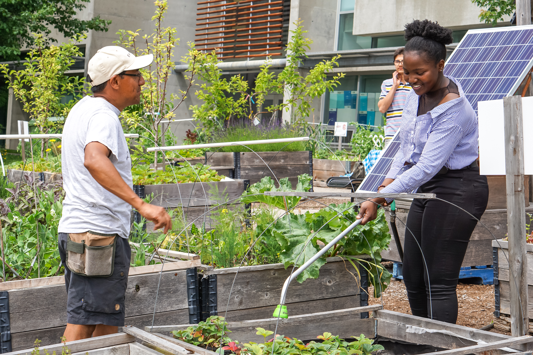 An older man chatting with a younger woman who is watering plants at a garden.