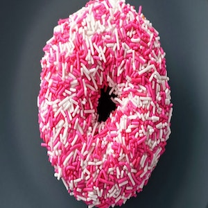 donut_picture1