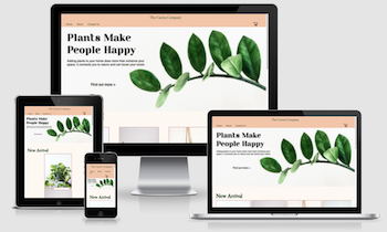 Website link to the Cactus Company - online plant store
