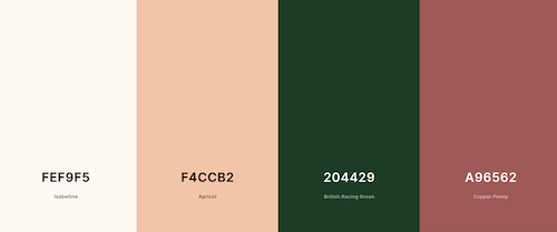 color theme image