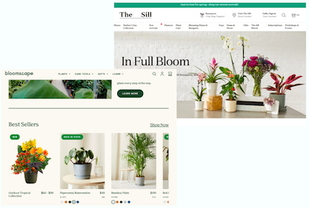 the Sill and Bloomscape website image