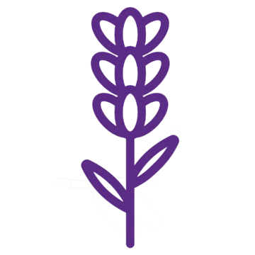 Lavender icon