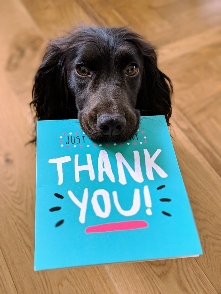 a dog holding a card saying thank you