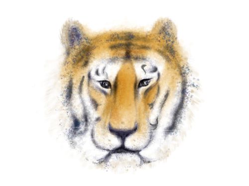a tiger head painting