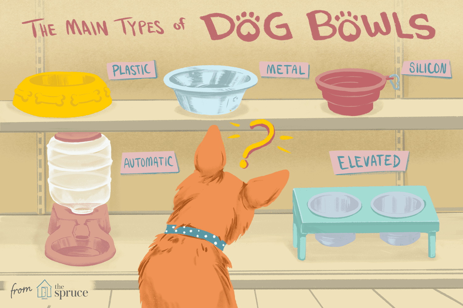 A graphic of a dog being confused of the many types of dog bowls