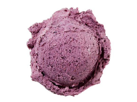 A scoop of Wild Blueberry ice cream.