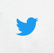 The twitter logo