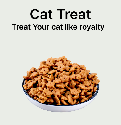 Check for more cat treat