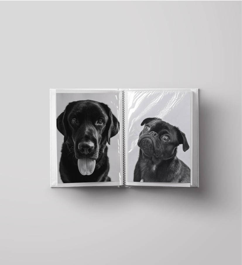 Photo album of two black dog images.