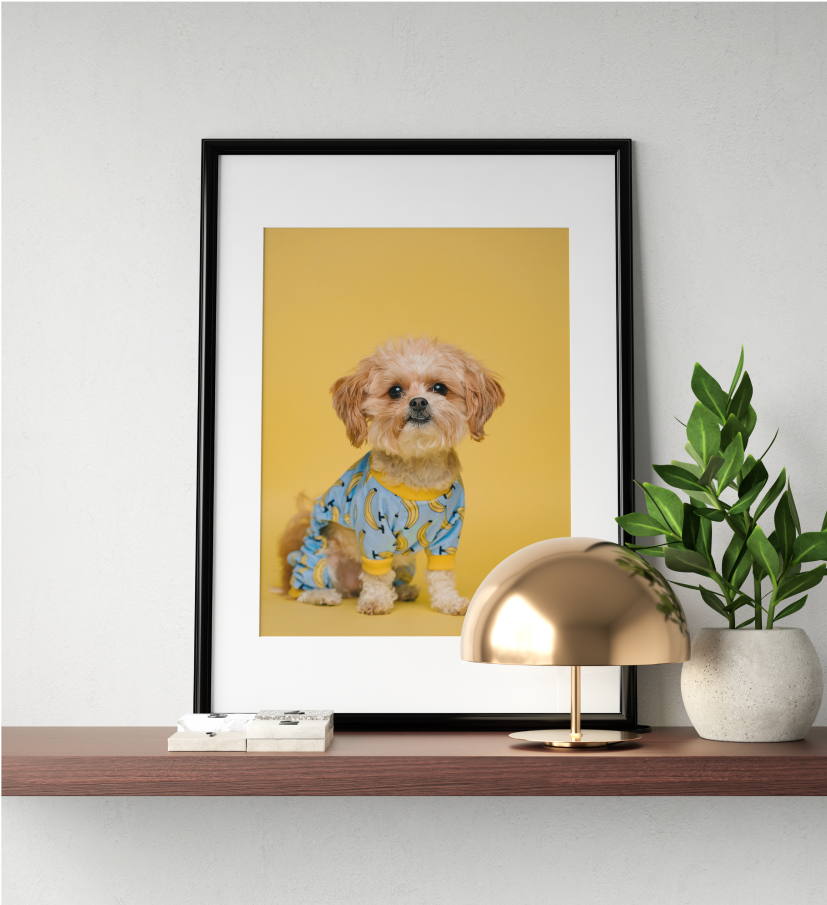 Black Frame of a golden dog on shelf.