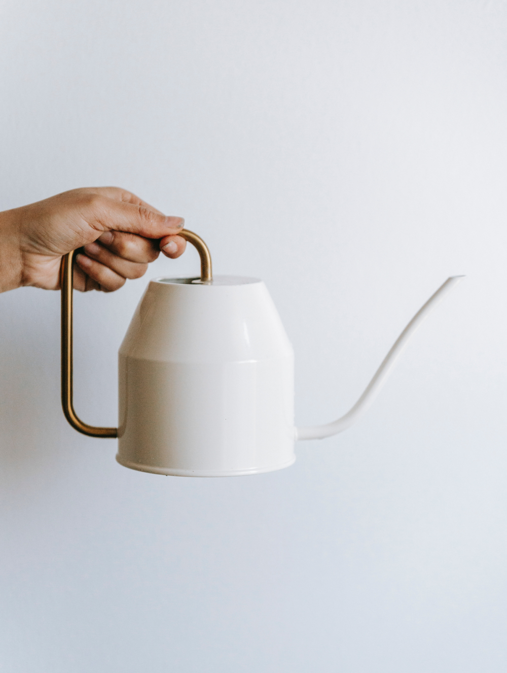 Hand holding a white watering can