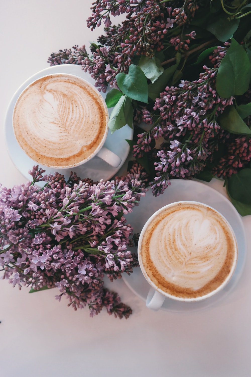 two full coffee cups shown from above and surrounded by purple flowers