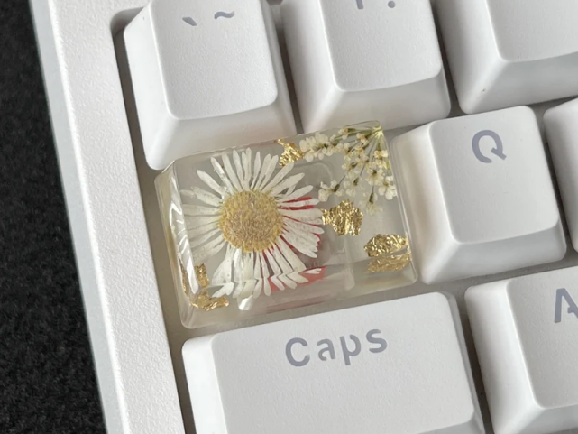 White daisy flowers being pressed inside a clear resin 1.5U keycap