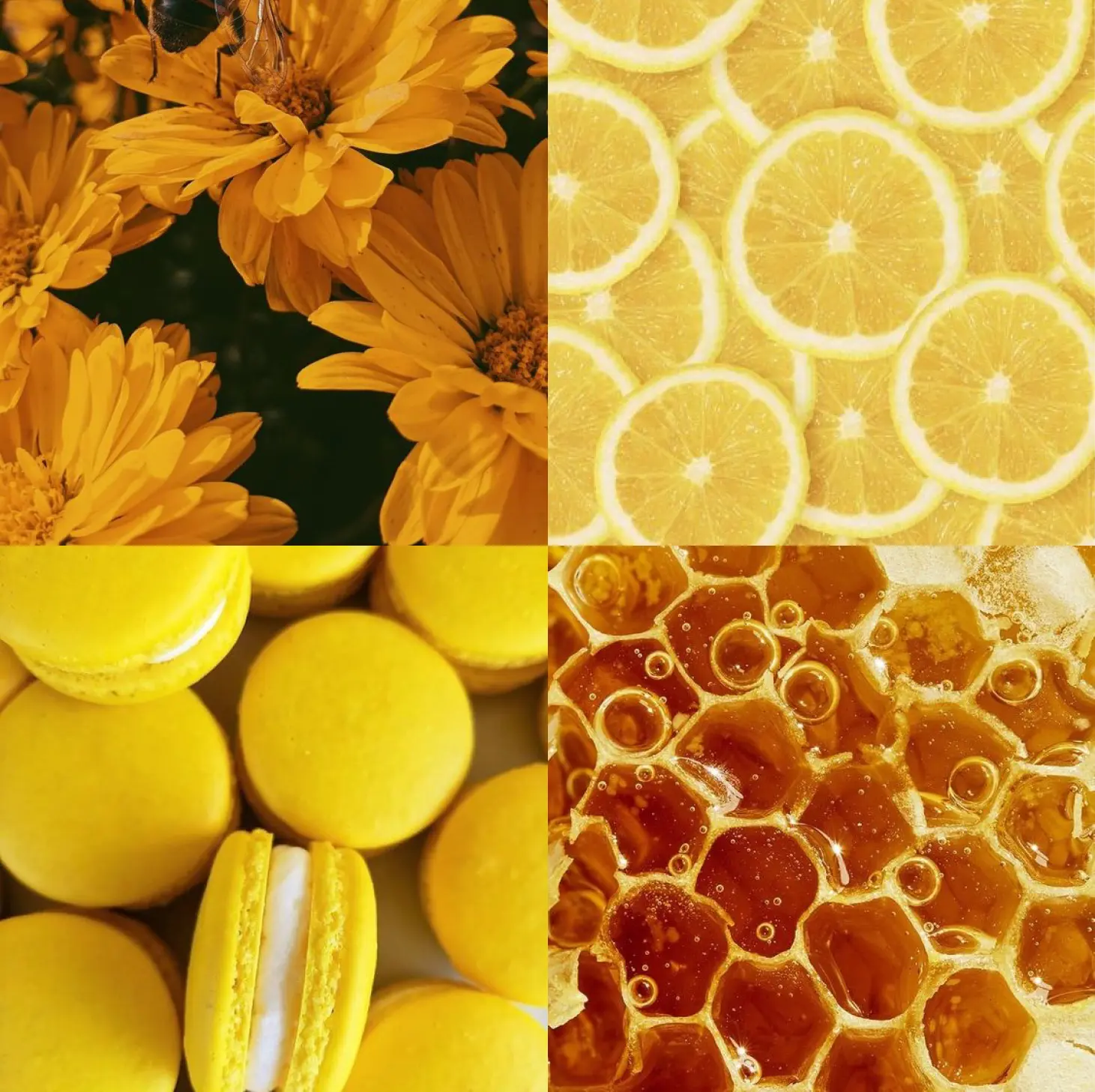 Collage picture with main color as yellow